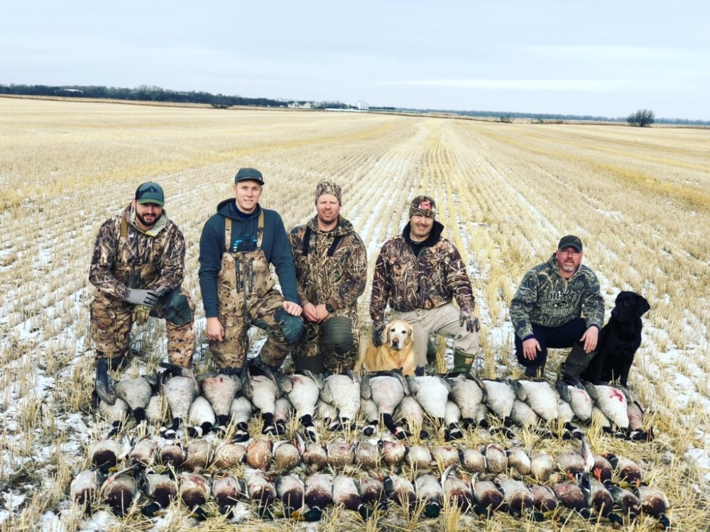 SK Goose Hunting