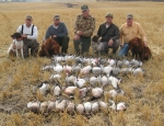Honker Heaven Outfitters Goose hunting