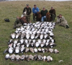 SK Goose Hunting