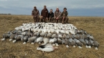 Prairie Sky Outfitters Goose hunting